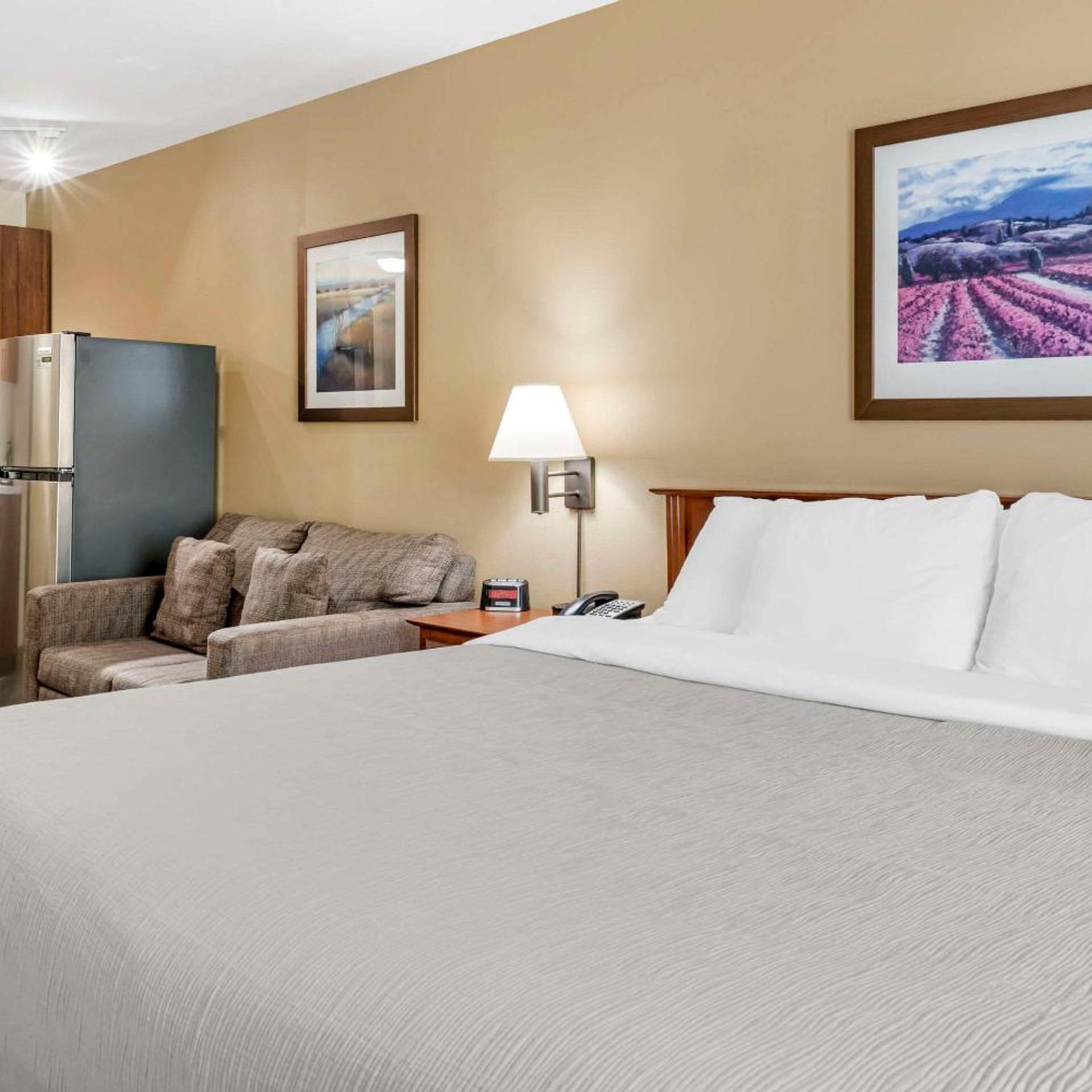 Efficiency, King Bed