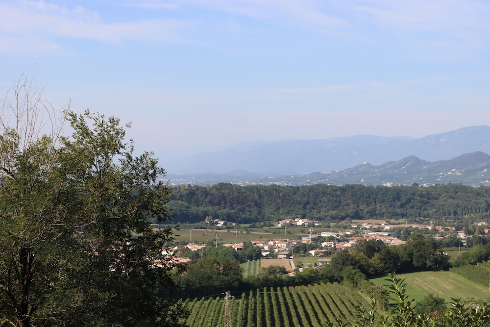 ALBERGO ALLA PINETA 19/23