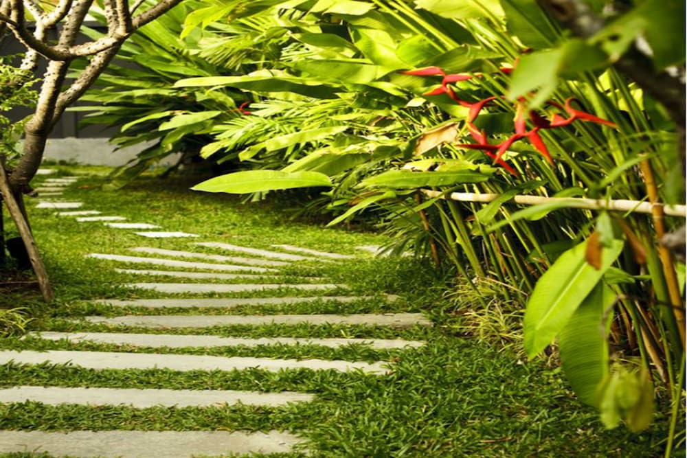 Deva Samui Resort And Spa 44/50