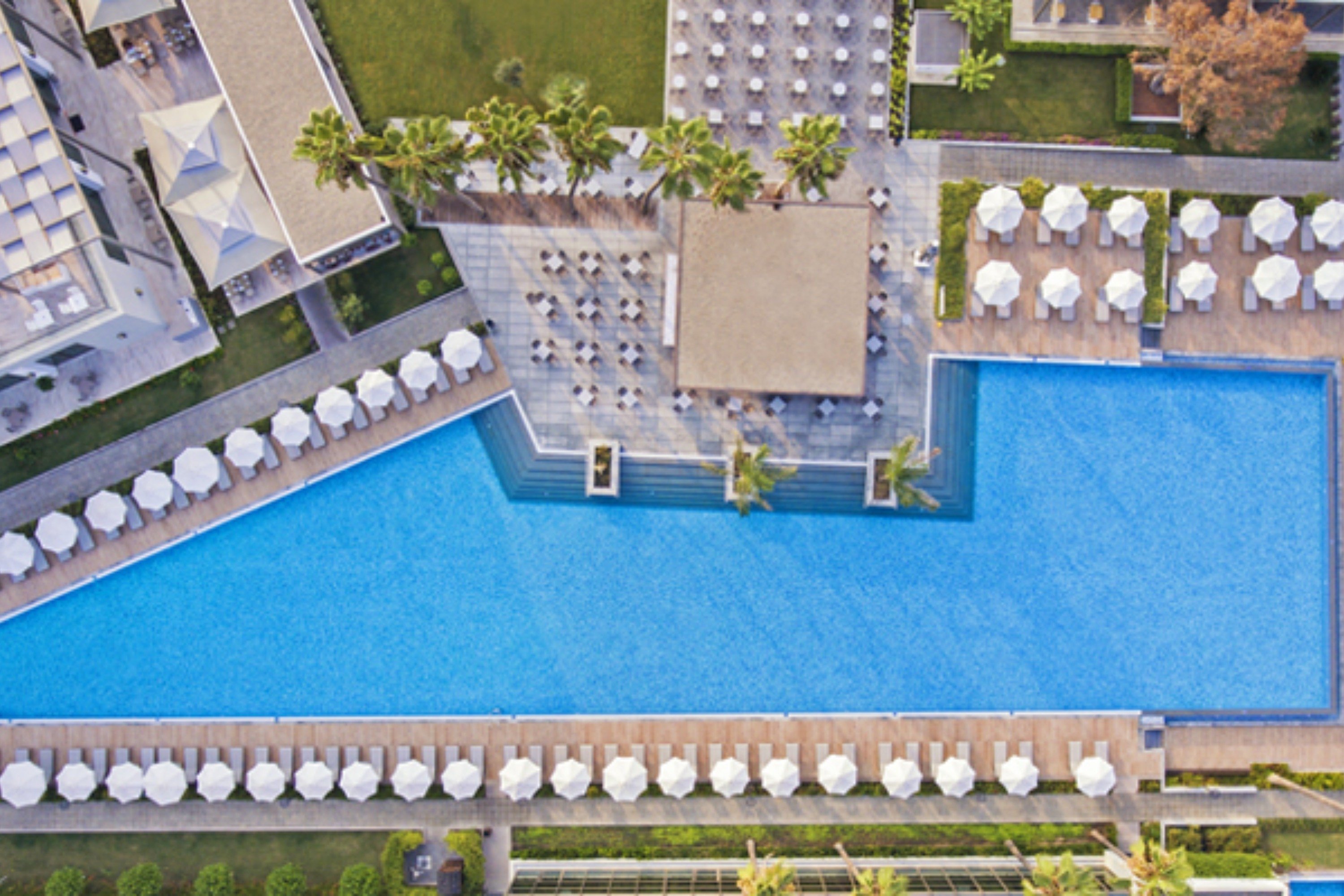 Acanthus and Cennet Barut Collection 18/20