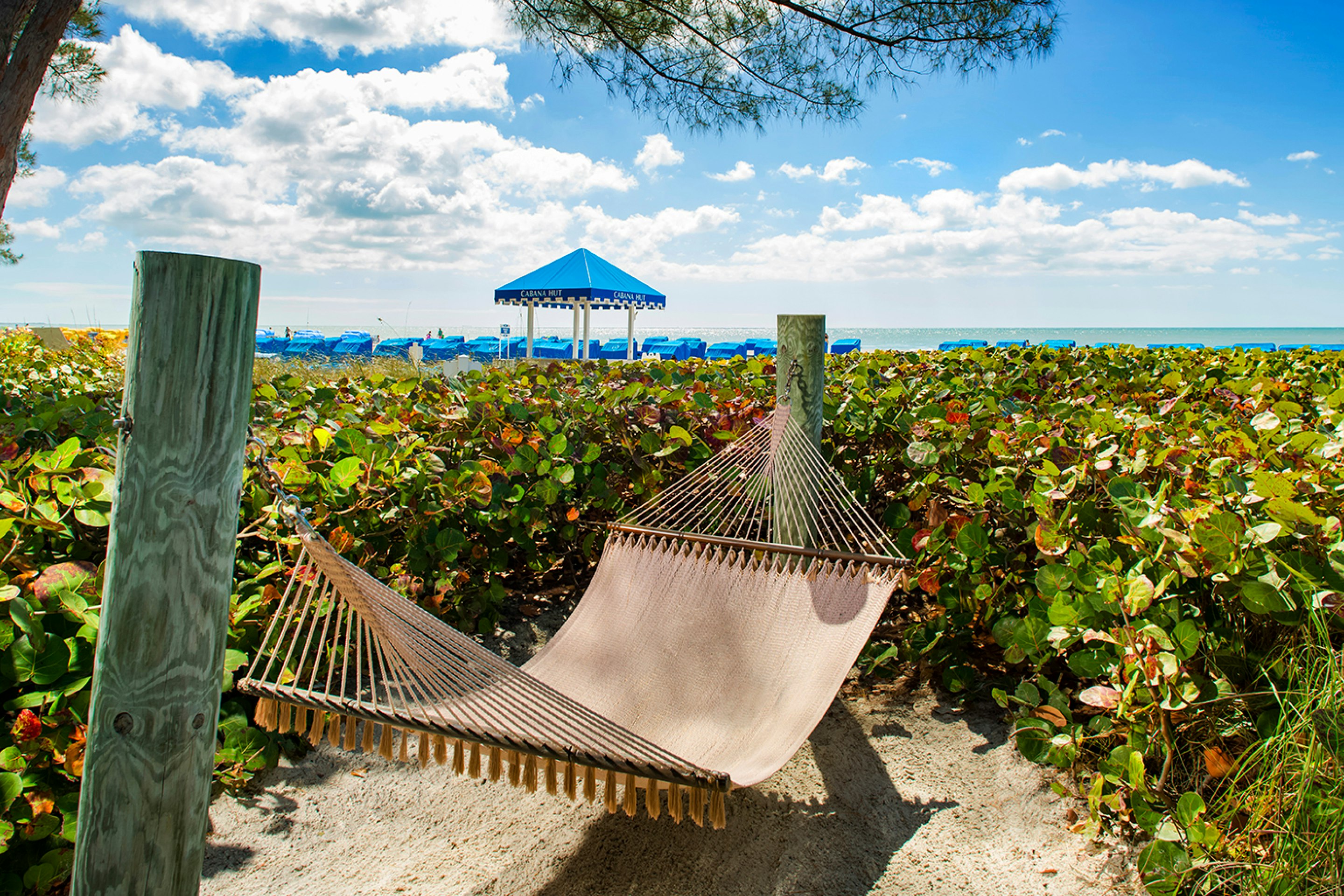 RumFish Beach Resort by TradeWinds 55/59