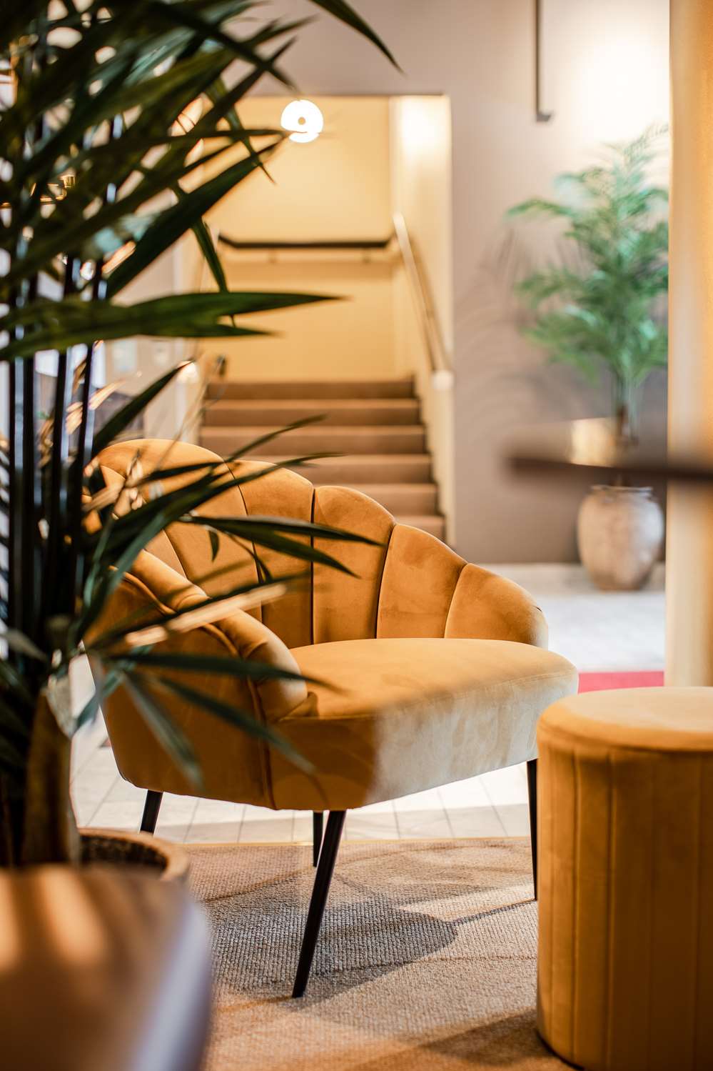 Palm Tree Hotel, Bw Signature Collection 23/55