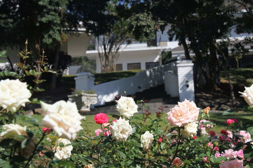 Sheppard Boutique Guesthouse 4/50