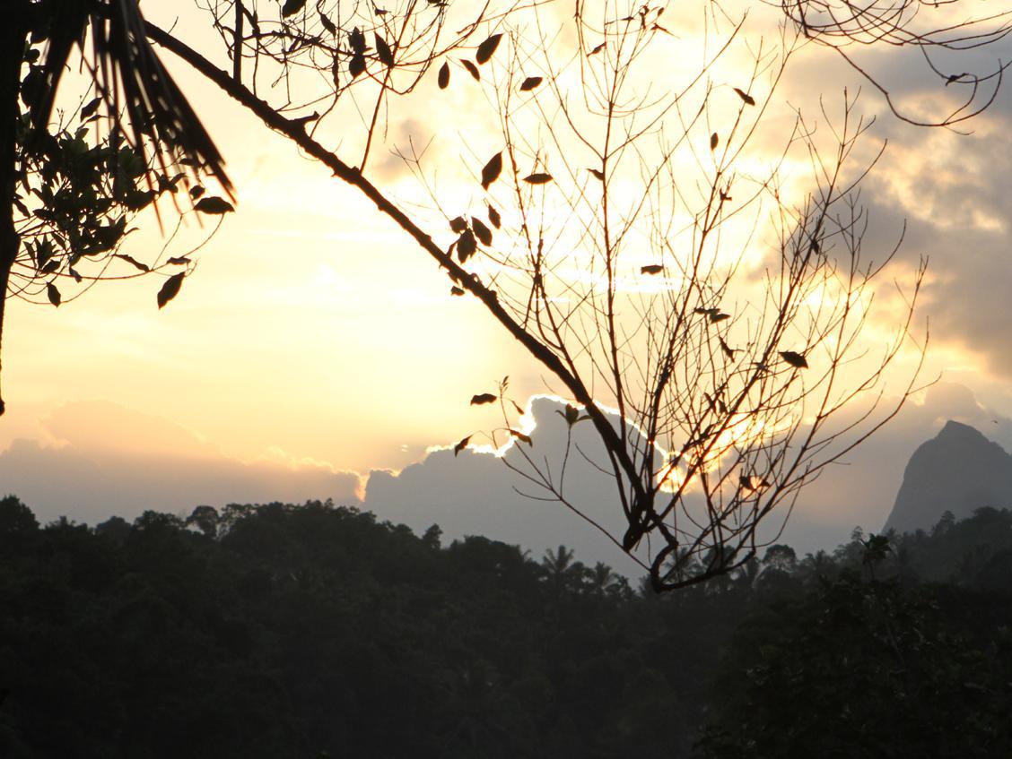 Peradeniya Rest Inn 15/16