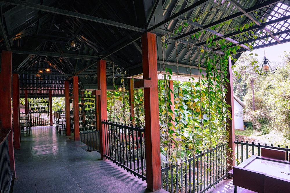 Vythiri Greens Resort 5/25