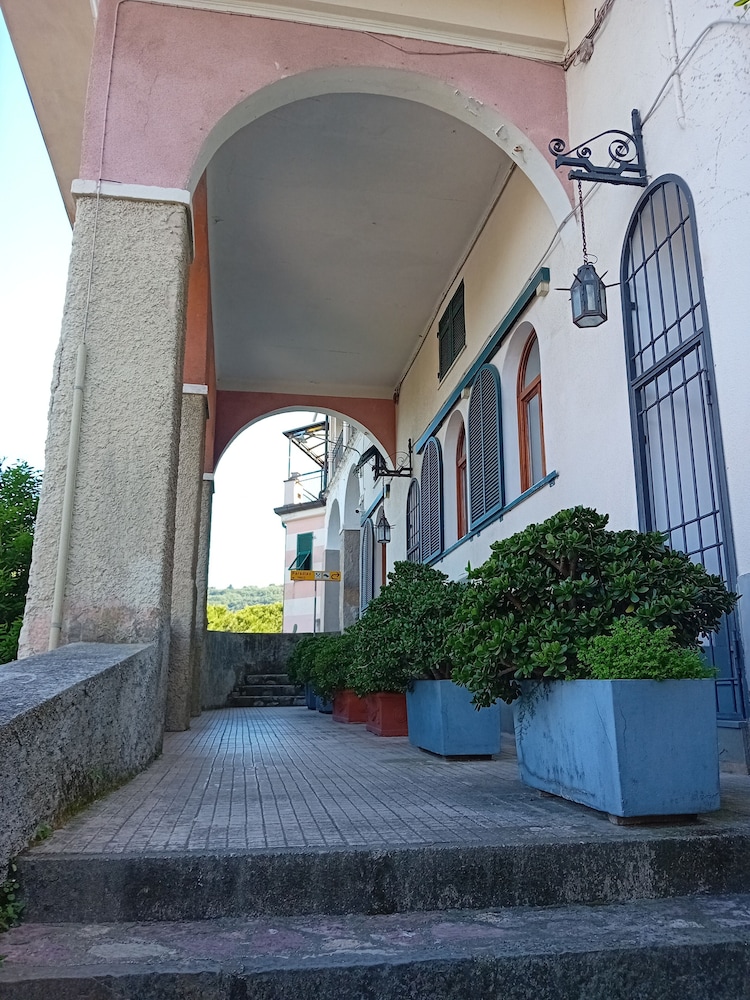 Hotel Paradiso 2/51