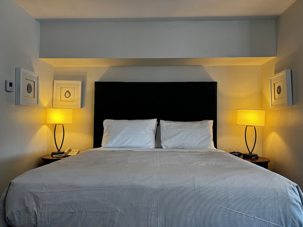 JUNIOR SUITE, KING BED
