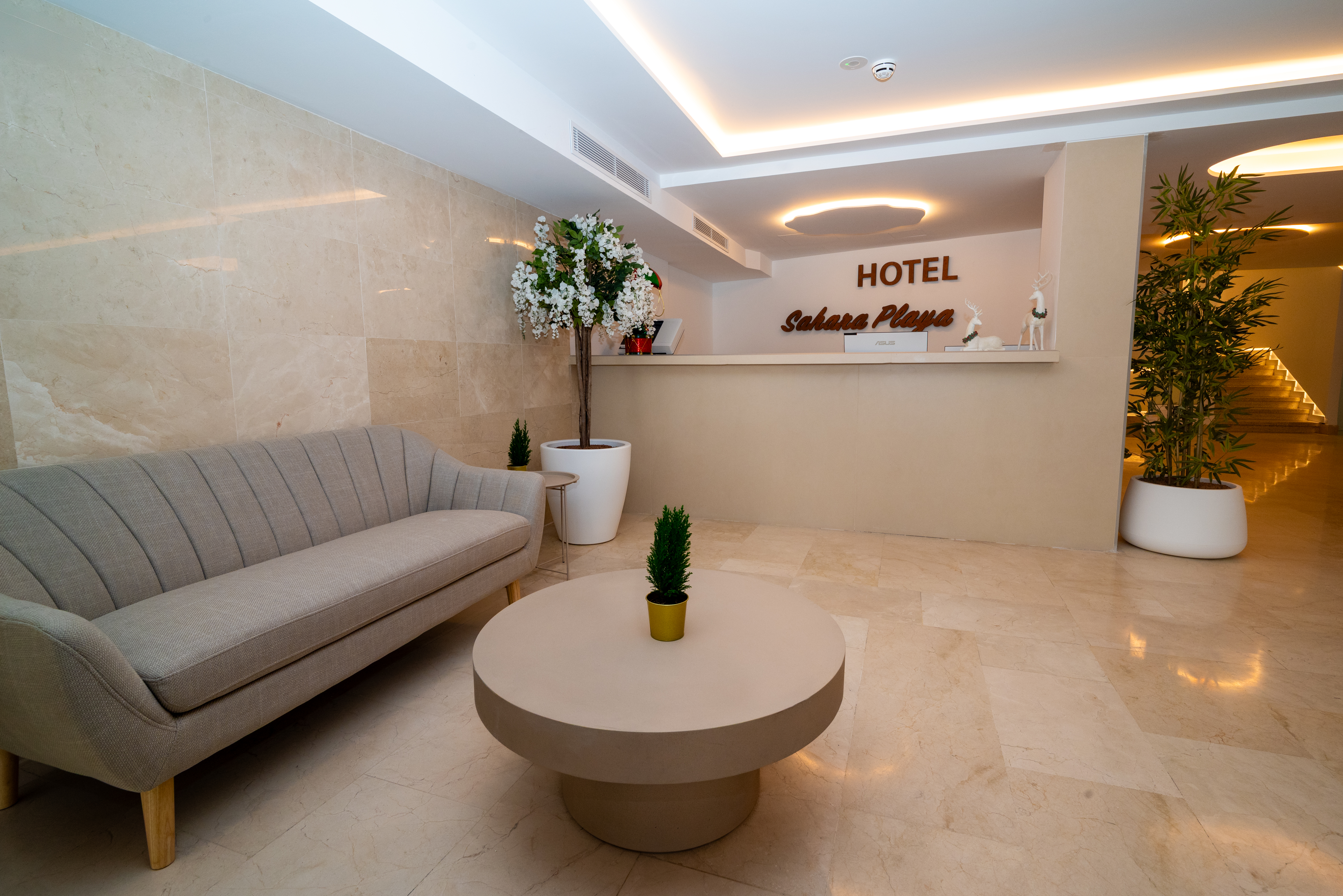 Sahara Playa Hotel 43/59