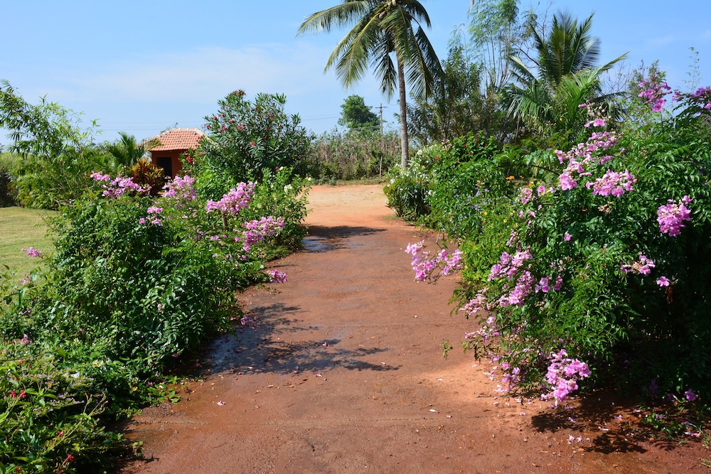 Red Earth Kabini 46/49