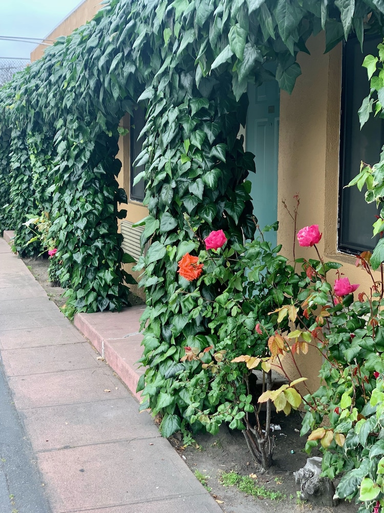 Monterey Oceanside Inn 39/43
