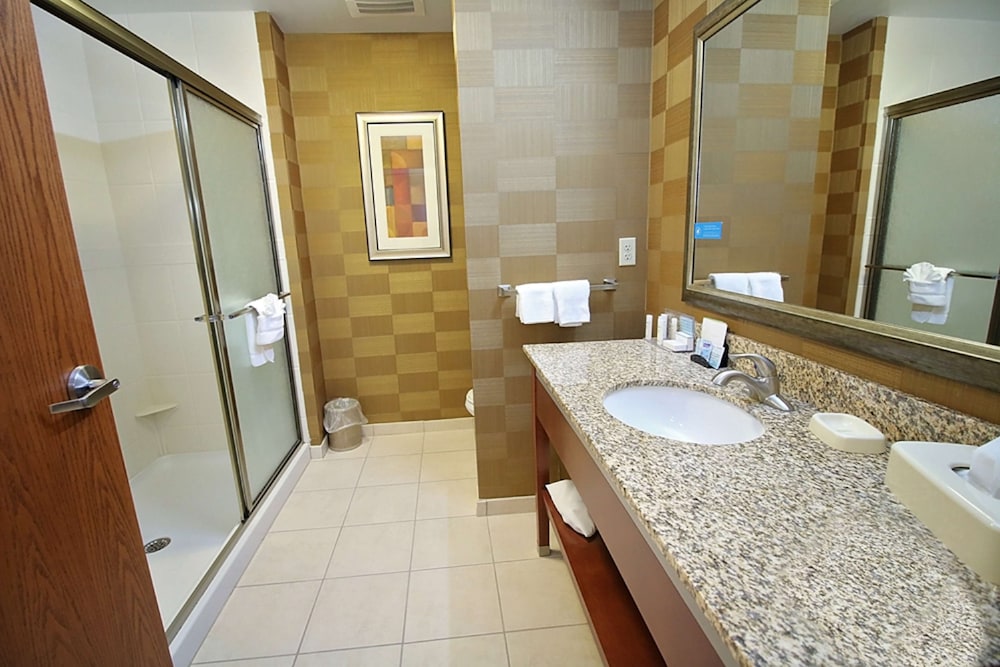 Hampton Inn Detroit North Auburn Hills 24/45