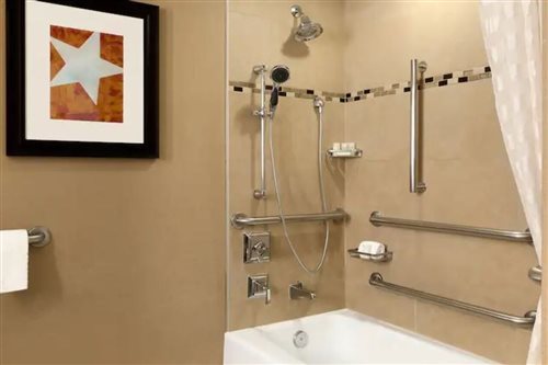 Suite, King Bed, Bathtub, Accessible