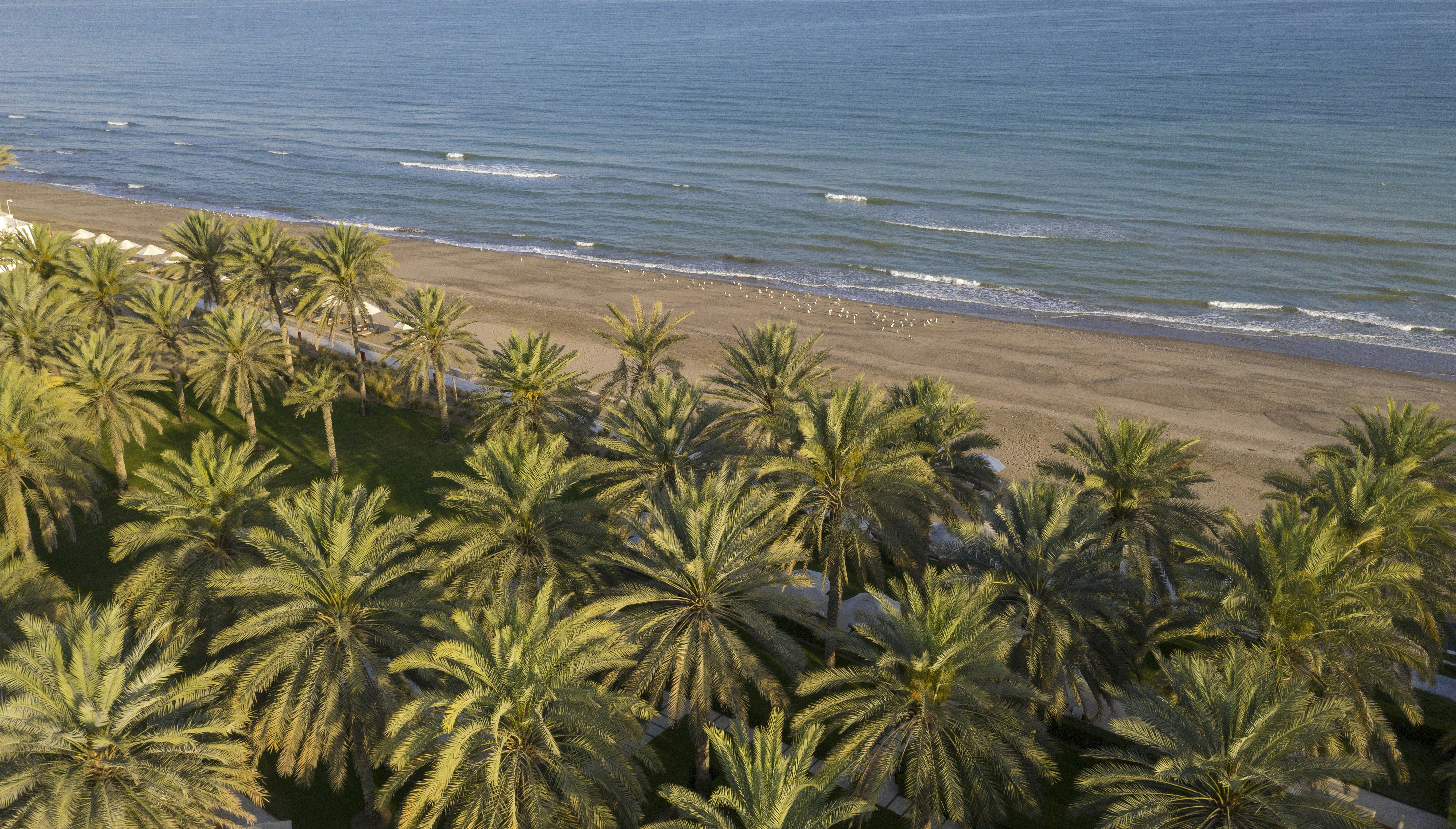 The Chedi Muscat 44/52