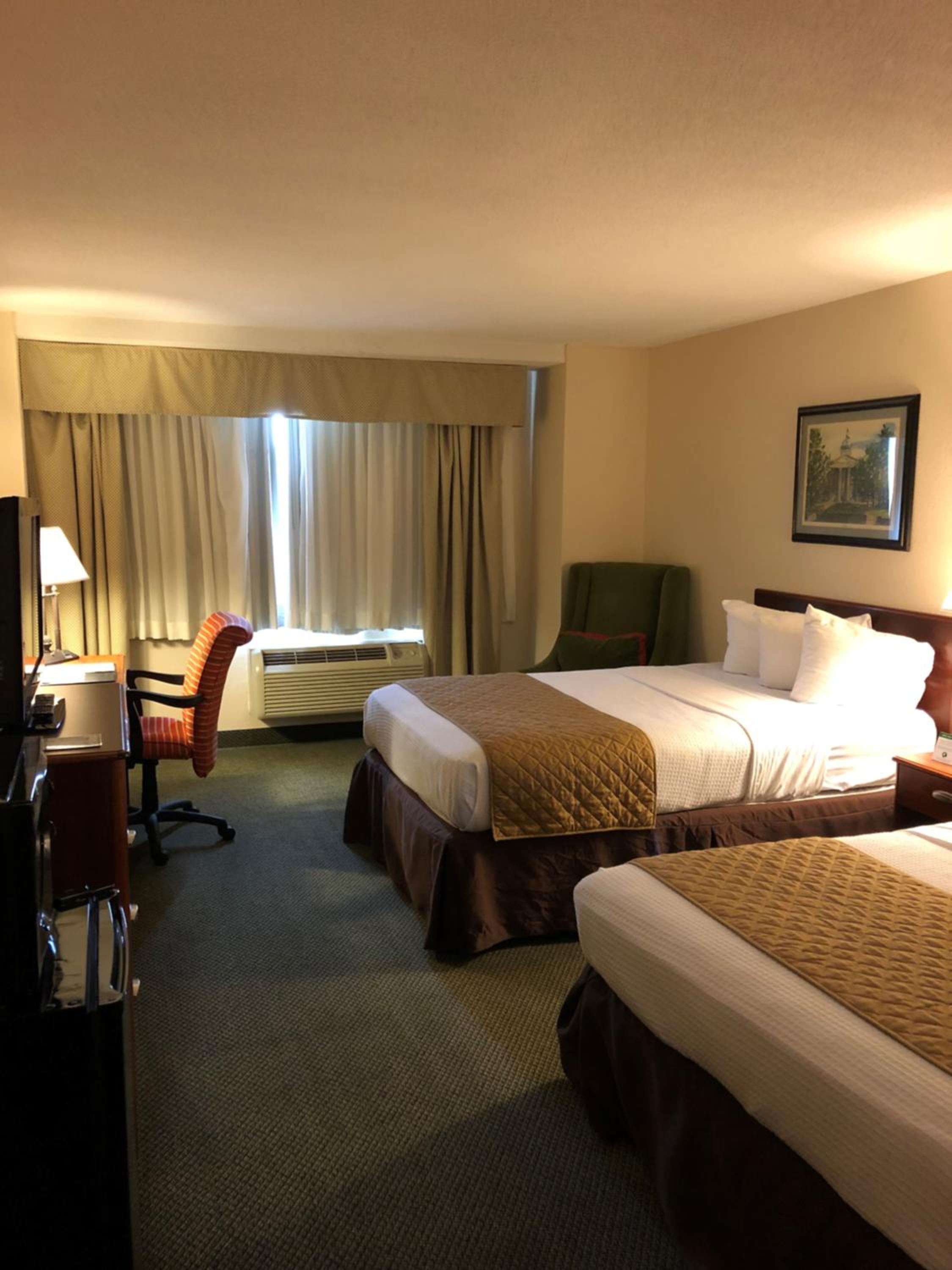 Mini, Suite, Double Bed