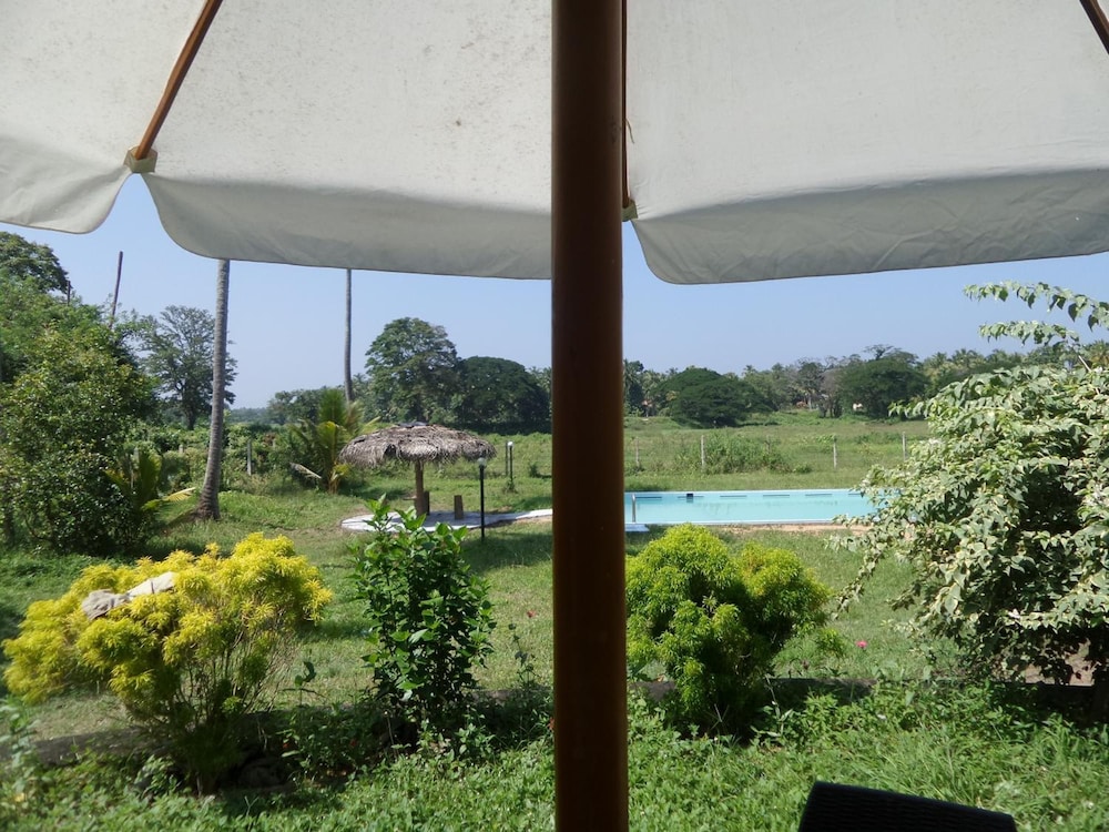 Cocoworld Bungalow 39/50