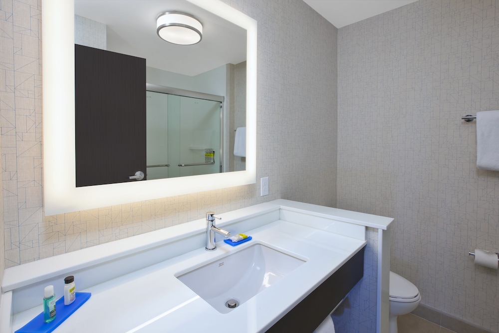 Holiday Inn Express Auburn Hills South 19/51