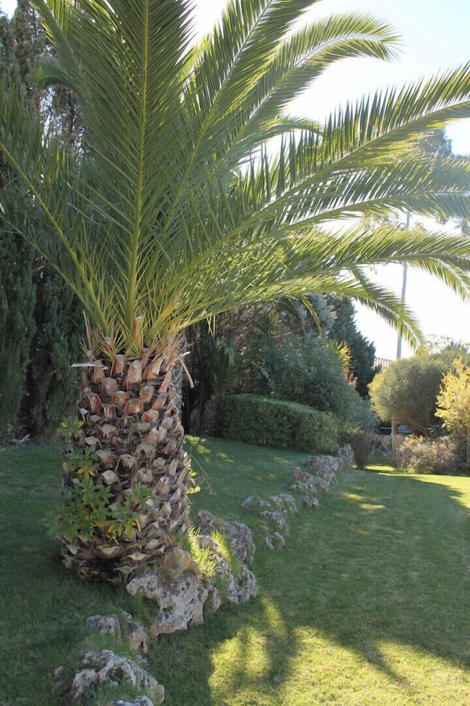 Arrábida Heritage 22/37