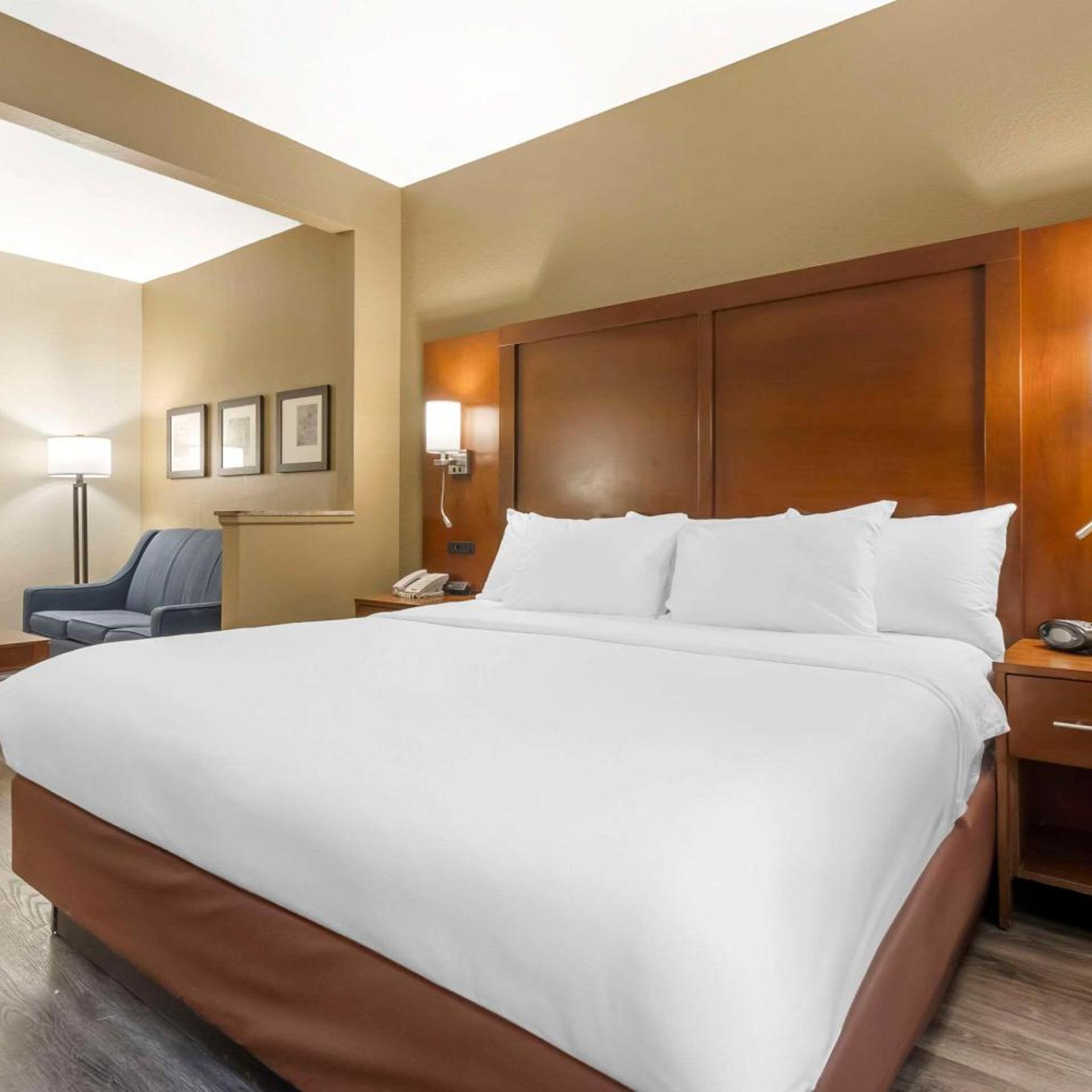 غرفة بسرير كينج لذوي الإعاقة، Comfort Suites At The University 4/9