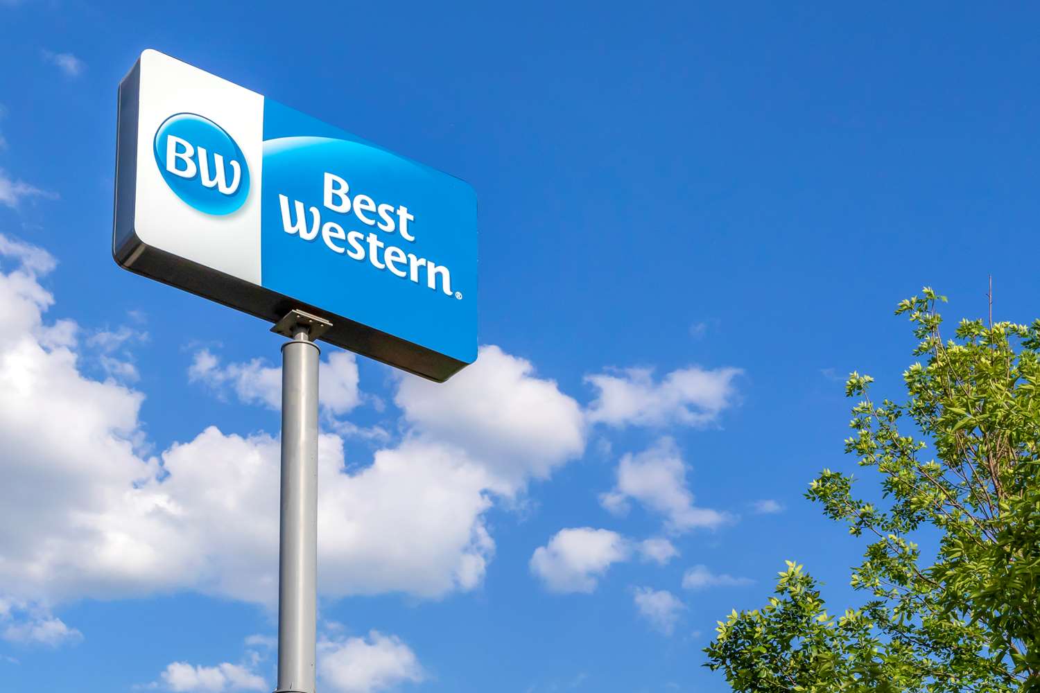 Best Western Davison Inn 2/43