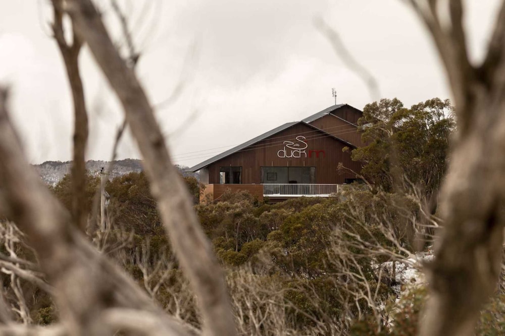 DUCK INN MT BULLER 写真4