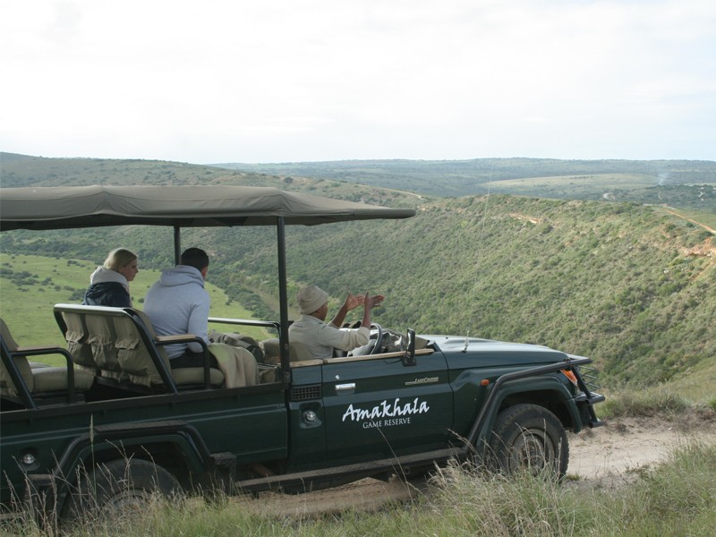 Safari Lodge- Amakhala Game Reserve 33/50