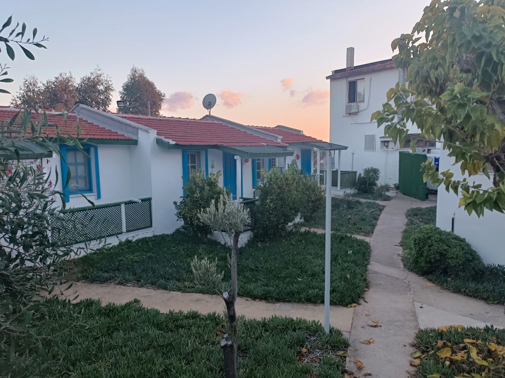Teos Ormanci Tatil Koyu 2/26