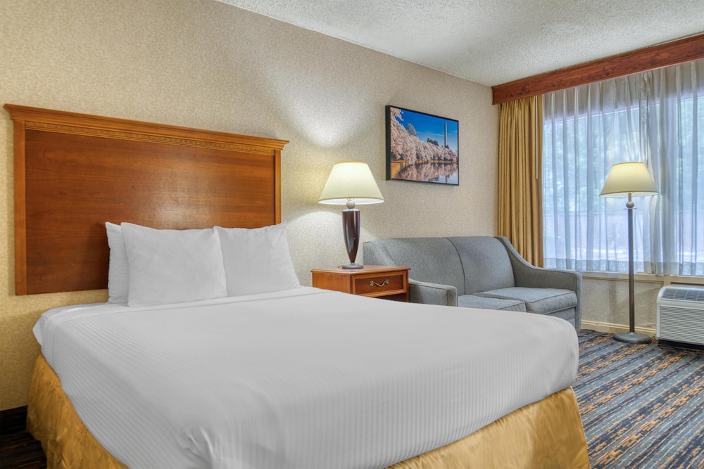 Standard, Queen Bed, Accessible