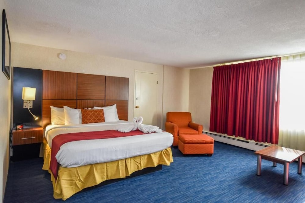 ROOM, SINGLE, KING BED, SOFA