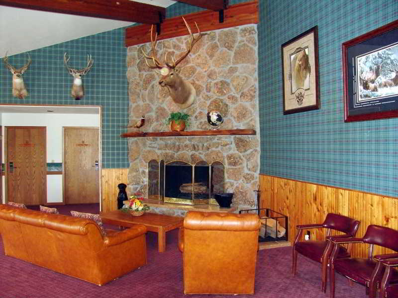 The Ranch At Ucross Sheridan Buffalo in CLEARMONT - WY