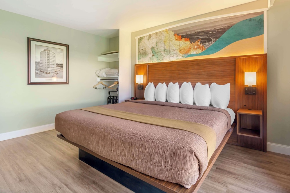 Suite, King Bed, Pool Side, Sofa, Kitchen, Accessible