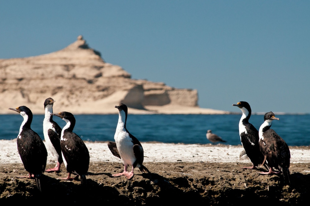 Ramada Residences by Wyndham Puerto Madryn CQ Gales 44/54