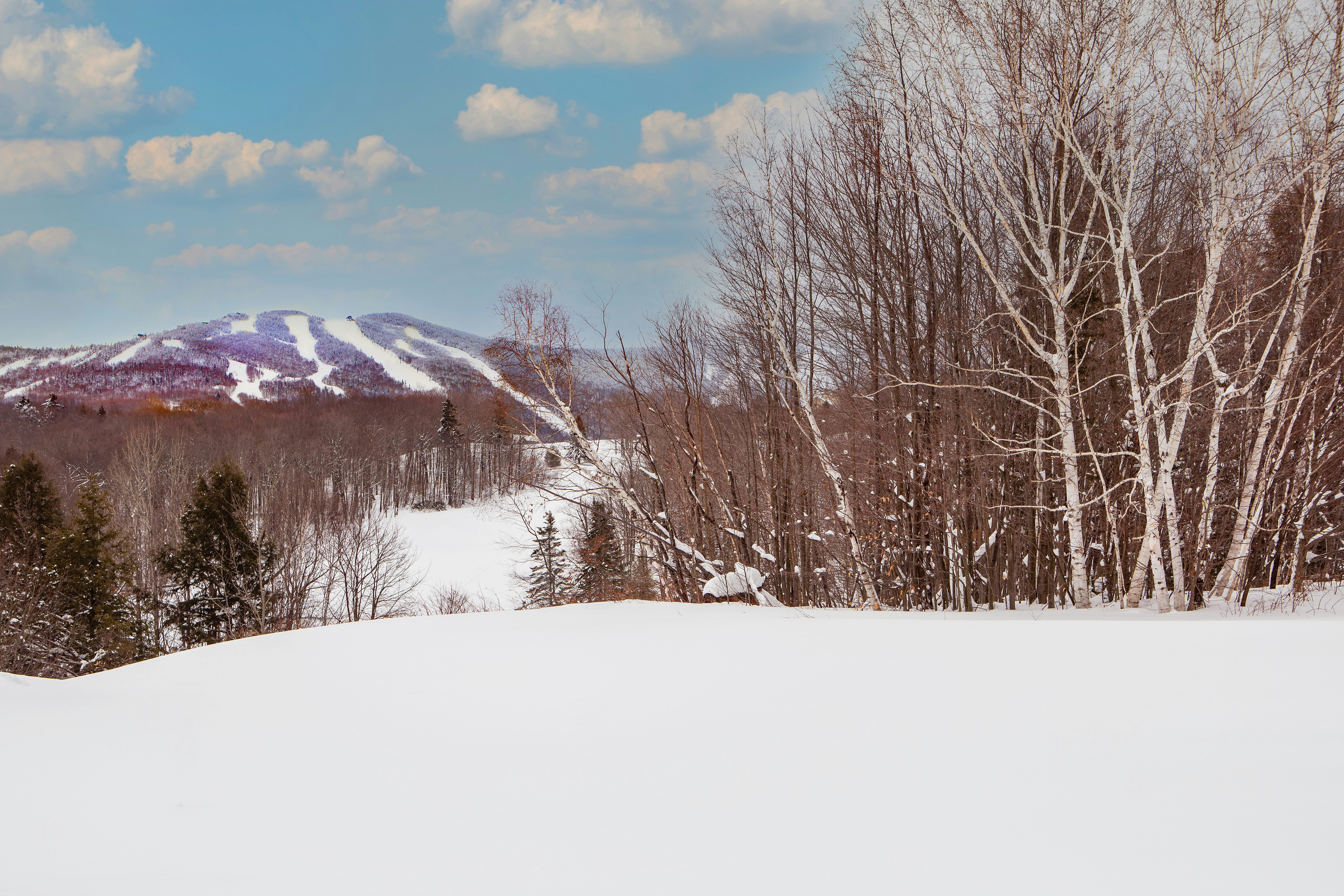 Killington Mountain Lodge, Tapestry Collection by Hilton 30/33