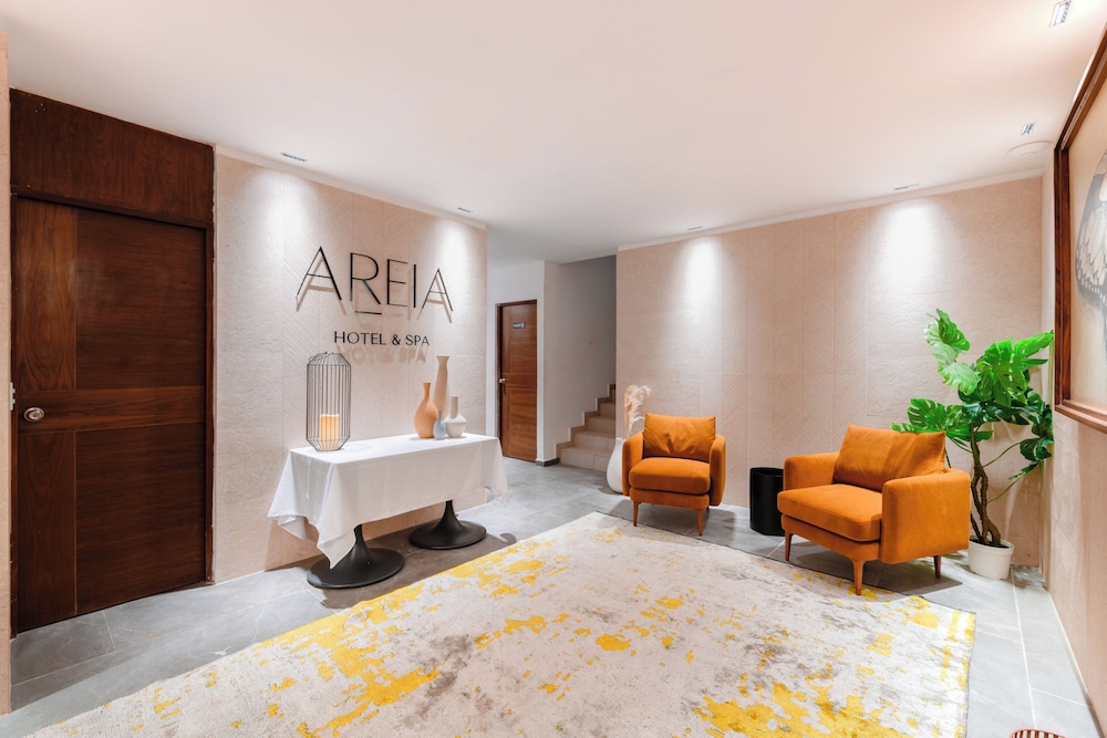 Areia Puerto Morelos 24/50