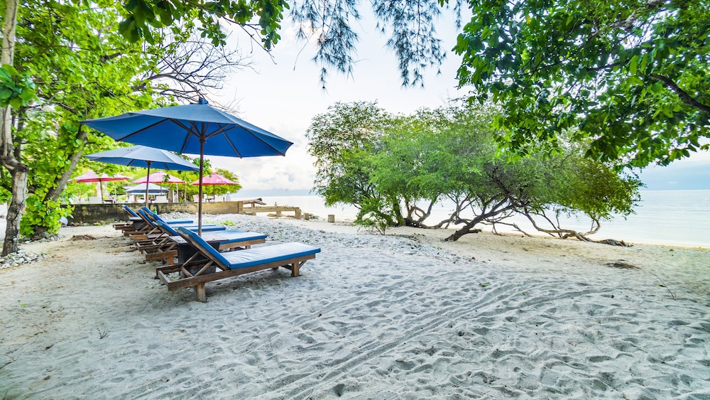 Alam Gili 32/50