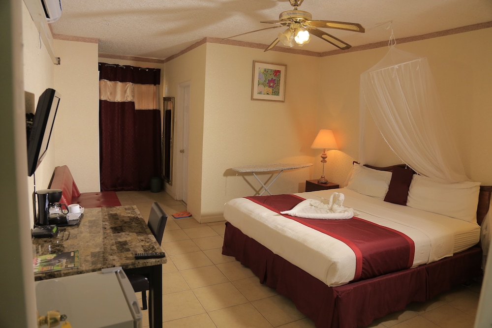 Executive Airport Hotel 13/50