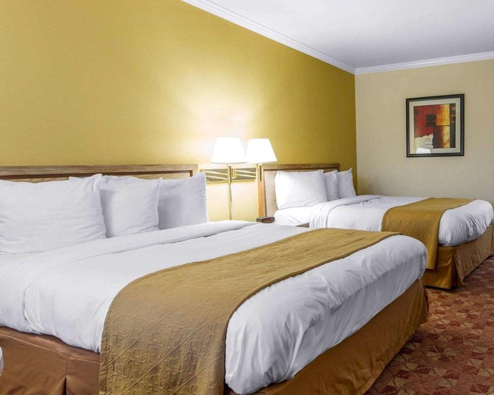 Upgrade, 2 Double Beds, Smoking