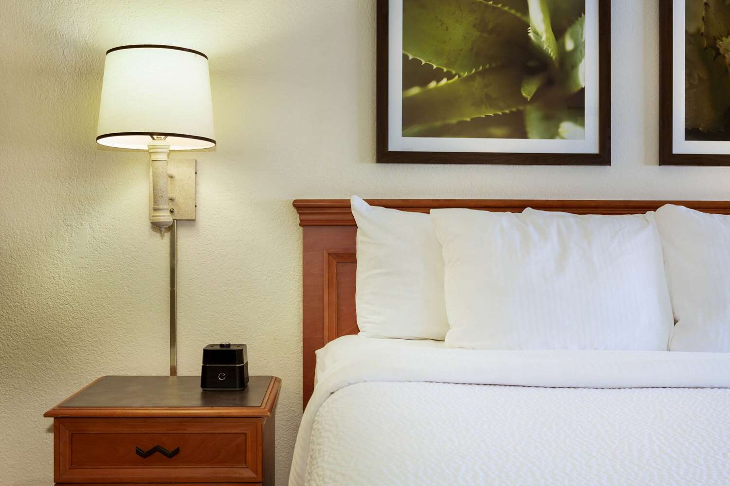 La Quinta Inn by Wyndham Austin Capitol / Downtown 22/43