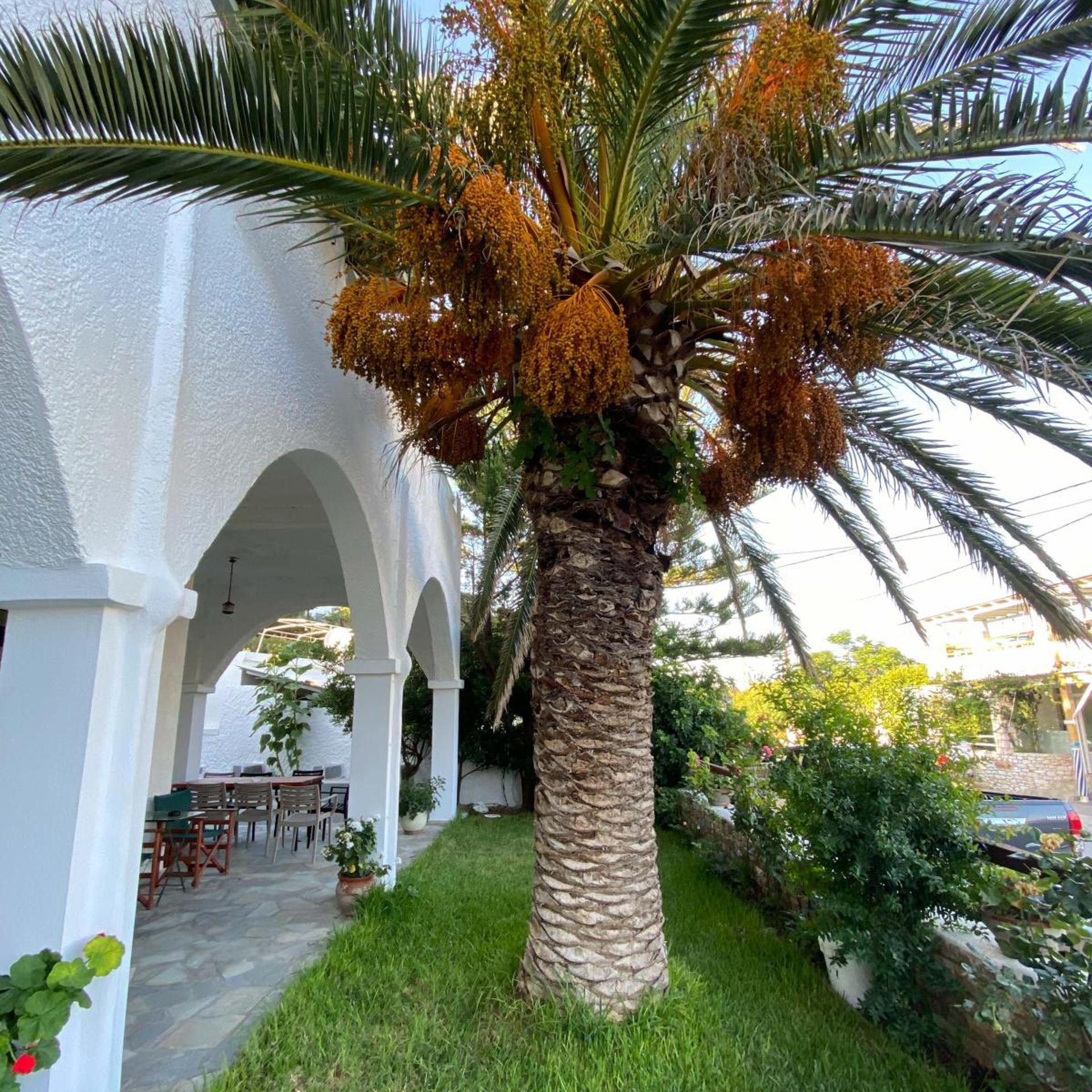 Axilleion Hotel 47/50