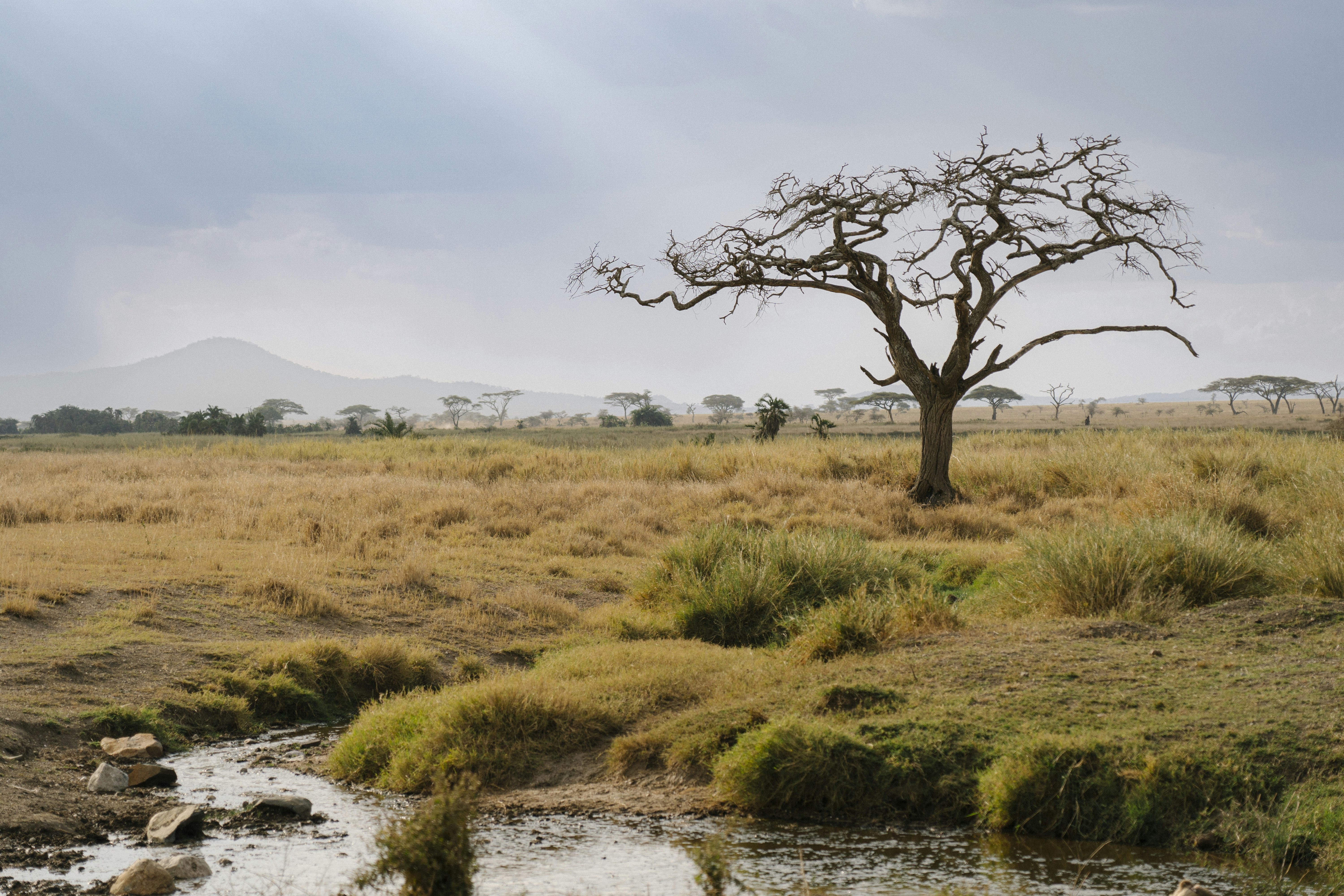 Ngorongoro Lodge member of Melia Collection 41/57