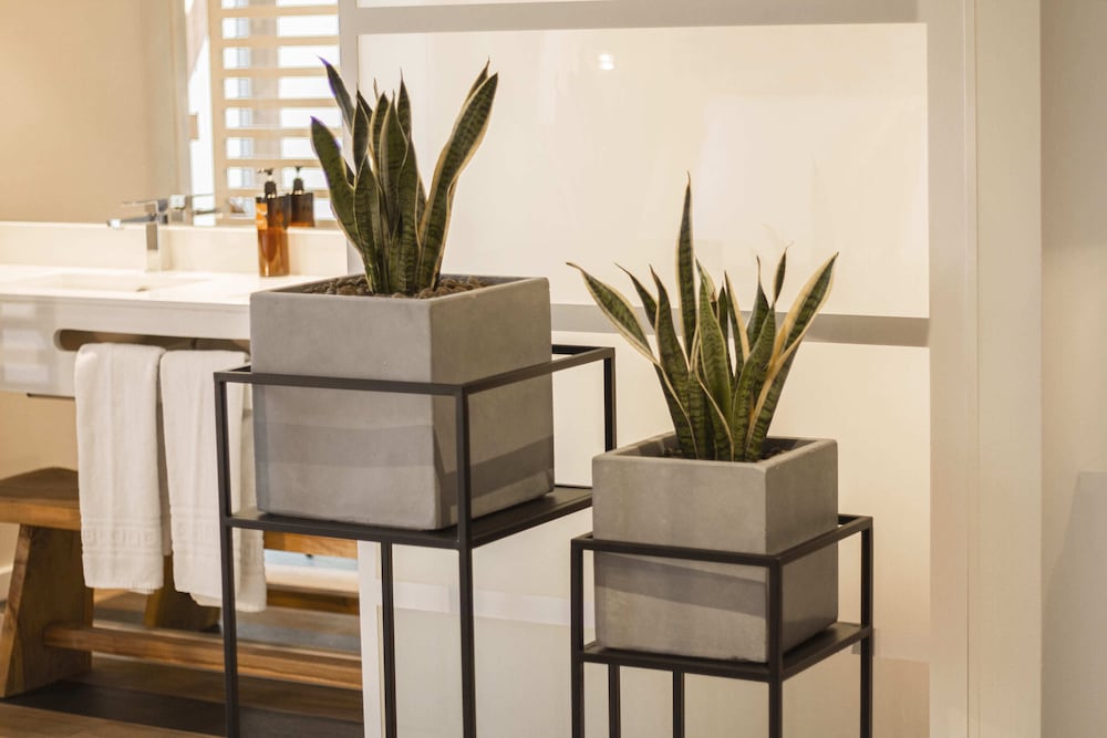 room select Liberdade 2/50