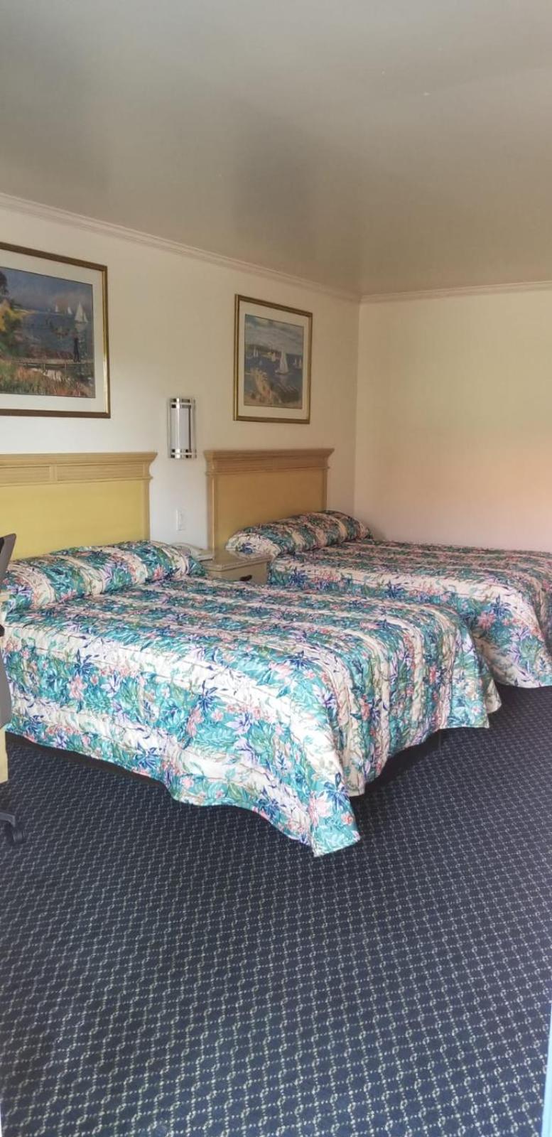 Budget Lodge 2/15