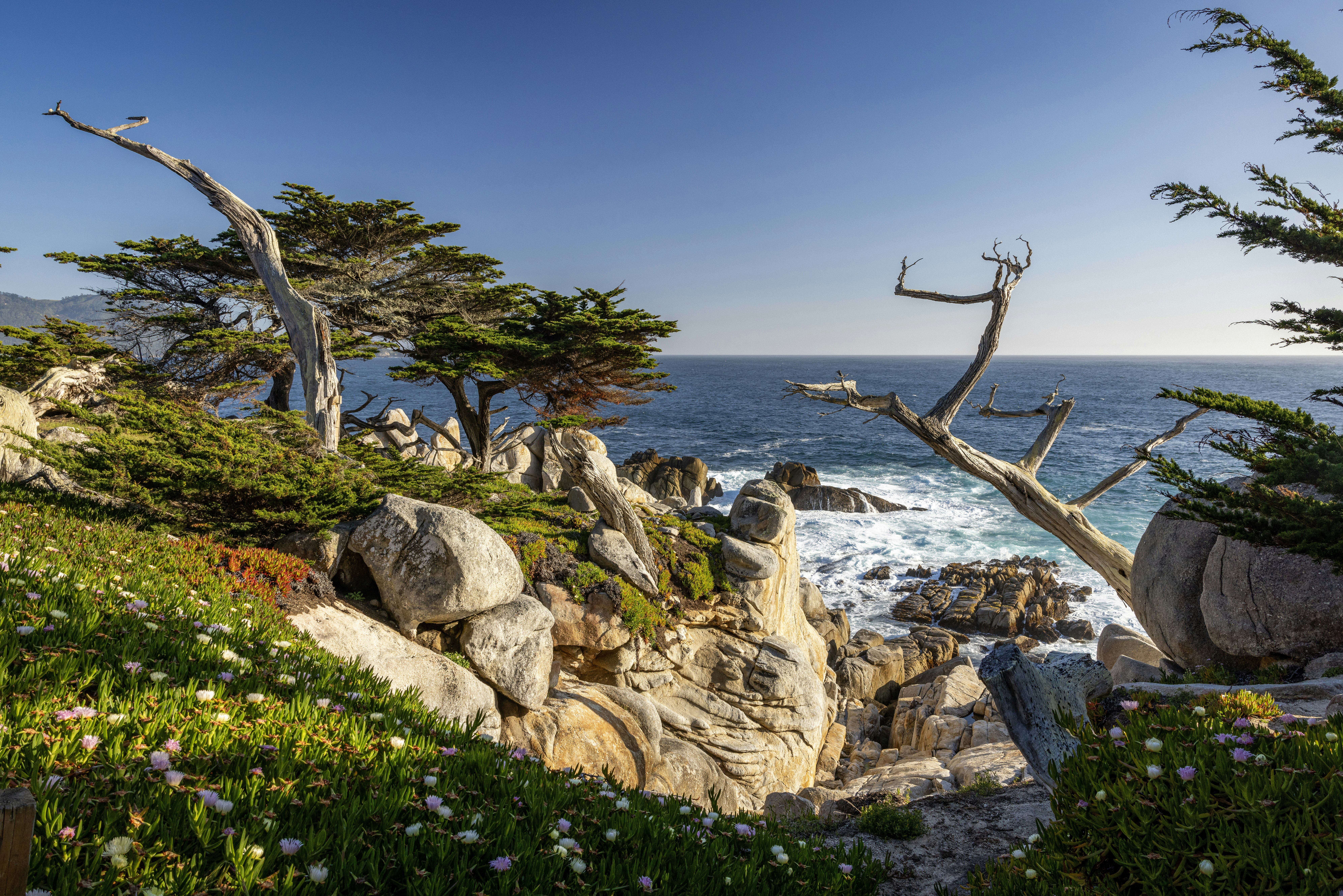 Home2 Suites by Hilton at the Dunes on Monterey Bay 14/15
