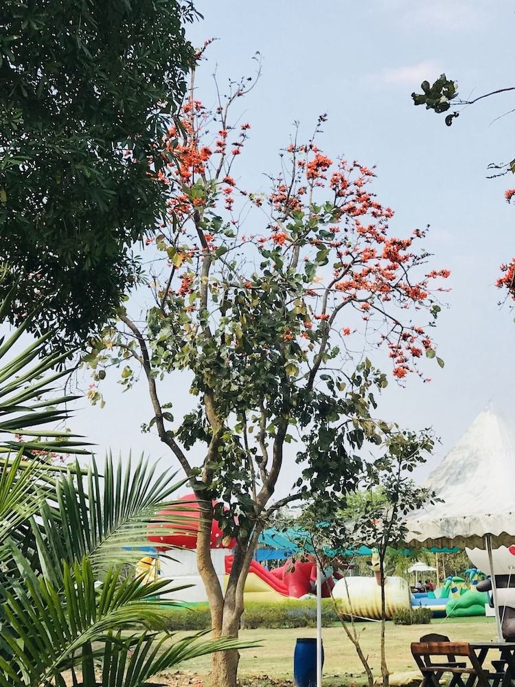 Suan Phueng Pa Wai Resort 42/50