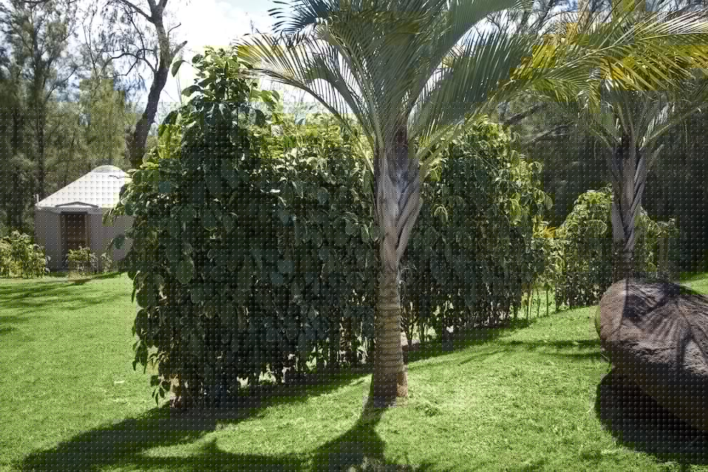 Hawaii Island Retreat 7/66