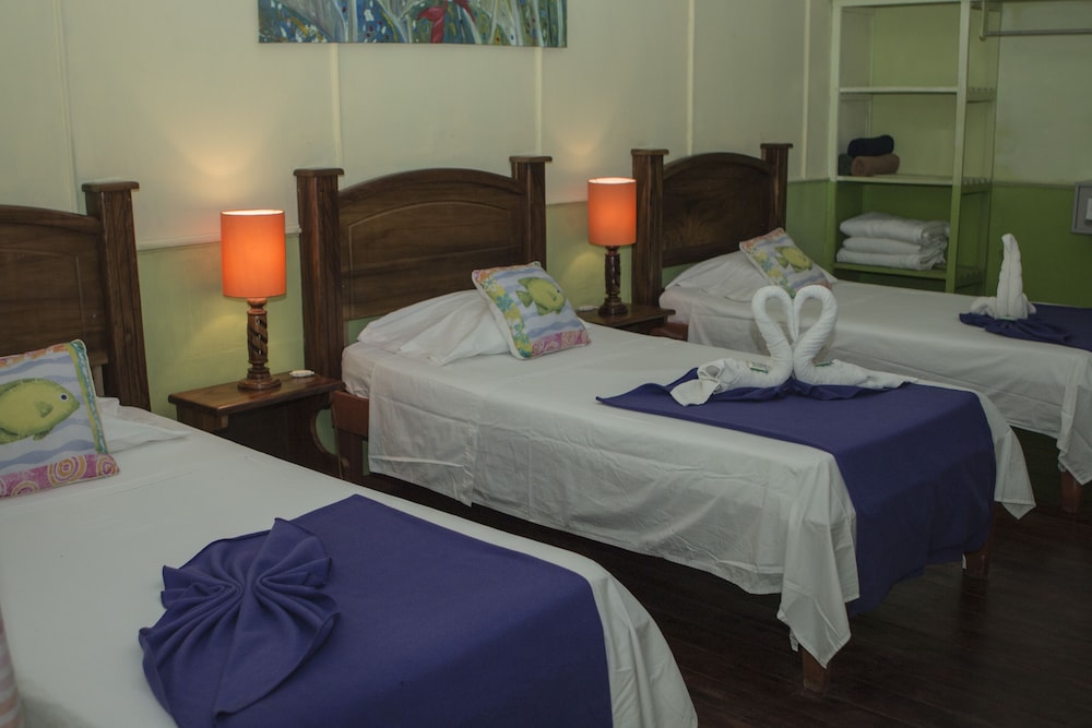 Caribbean Paradise Eco-Lodge 15/50
