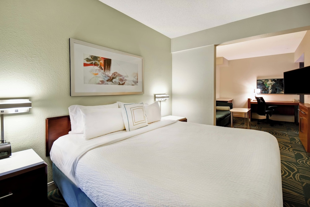 استوديو بسرير كينج مع أريكة لذوي الإعاقة، Springhill Suites Baltimore Bwi Airport 2/7