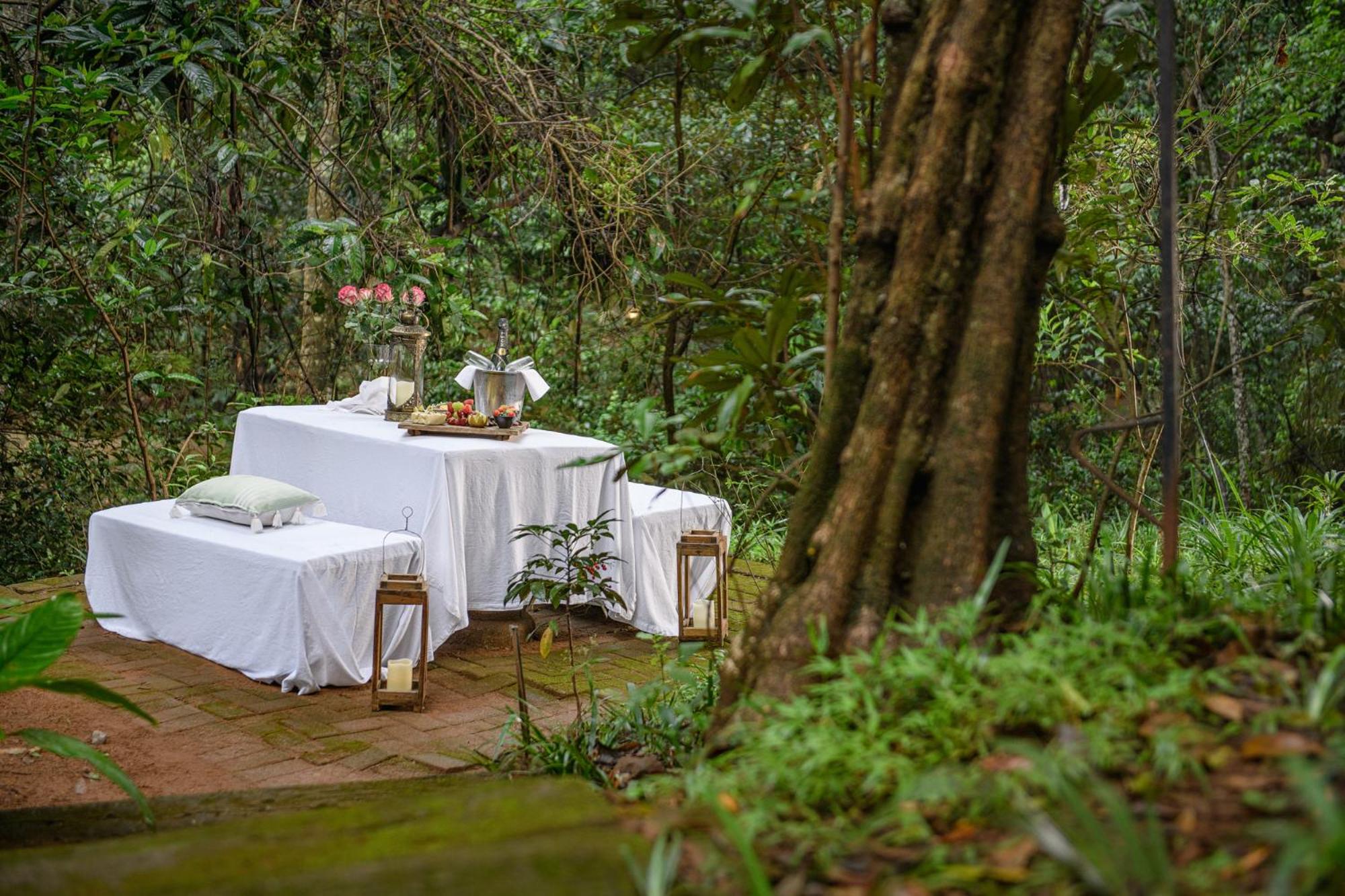 Serenity Mountain and Forest Lodge 40/50