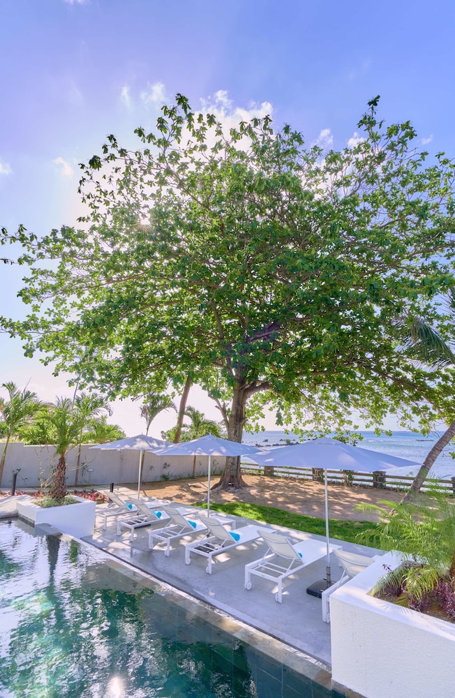 Les Estivales Beachfront Suites & Penthouses By Lo 4/48