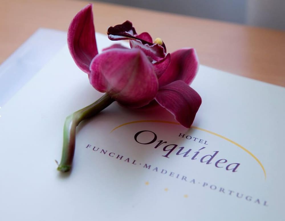 Orquidea 21/42