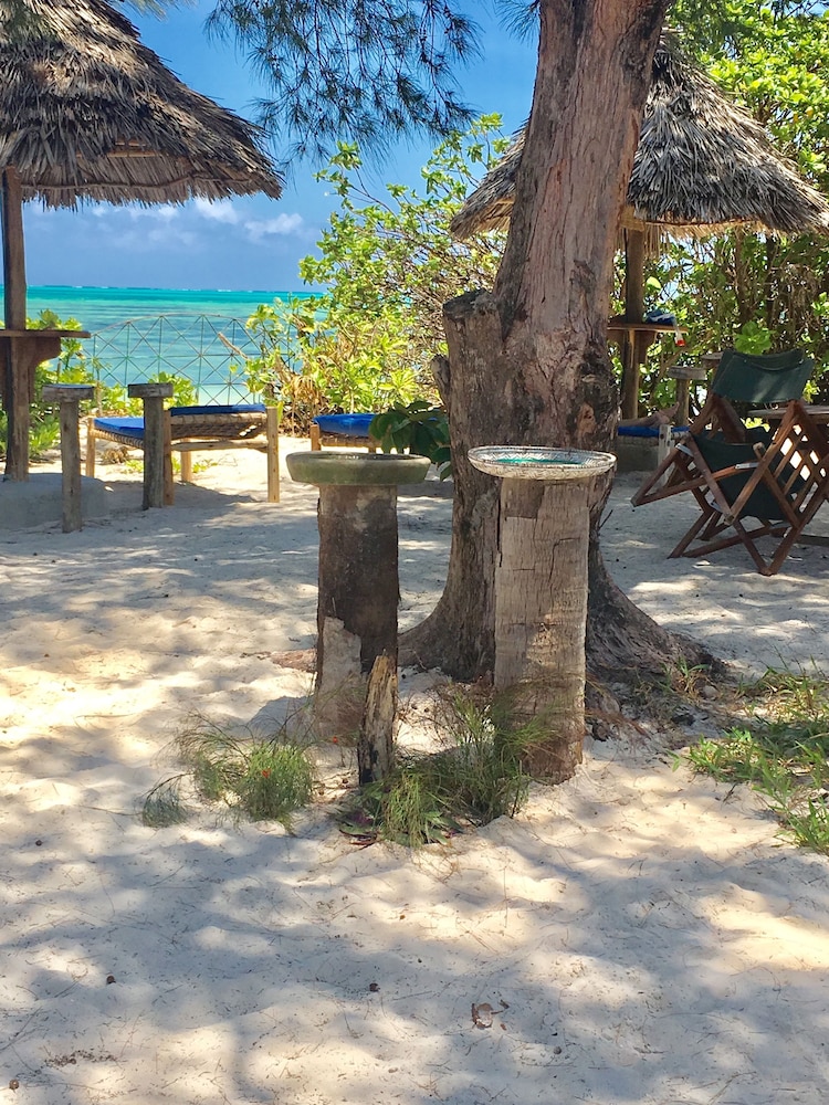 Driftwood Beach Lodge 39/48